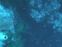 Klubov� akcia-Egypt2008-BlueHole-TecDive- 25.09.2008