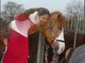 Roozenlaan's Booy Cavello 1 Year