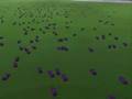 World record with Trackmania Nation: 1500 Replays