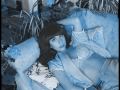 lady gaga paparazzi.wmv