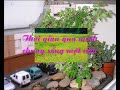 NGUOI TINH CUOI NGUOI TINH CUOI