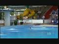 Matthew Mitcham on ABC News 13-01-2008