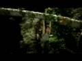 Tomb Raider Anniversary Fragman