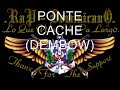 ponte cache