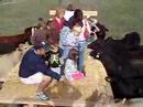 Farm Haven Hayride Farm Haven Hayride