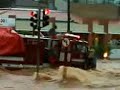 Bombeiro resgantando bixo da USP no meio da andaló.