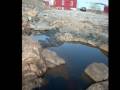 videos de Norway 2008