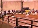 Washington Flat Track