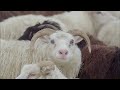 very cool sony campaign Sony Soundville http://bit.ly/2XzE2b (video) and the website here http://bit.ly/13DOWl