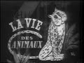 La Vie des Animaux La Vie des Animaux