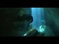 Herbert Nitsch Wreck & Cave Diving with No Air Tank