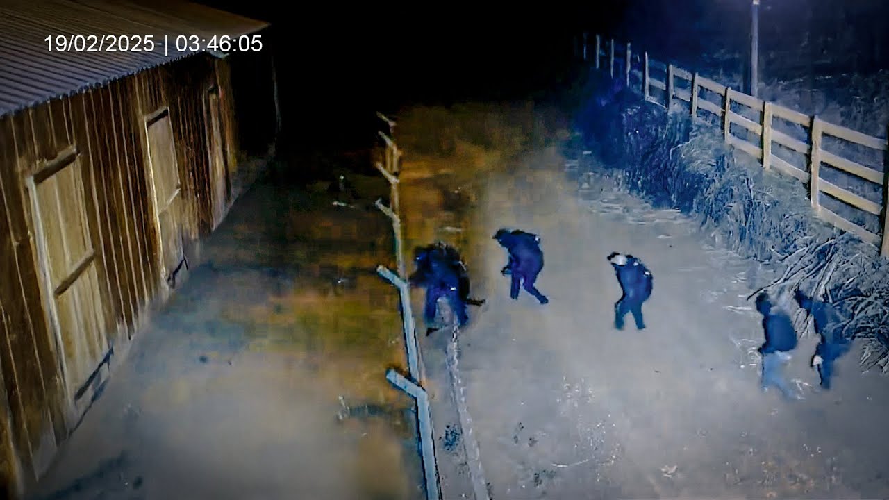 Ladrões Invadem Sítio Mas Fazendeiro Faz Algo Incrível