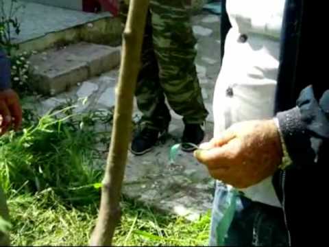 Mpoliasma ma ton hraklh.mp4