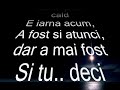 Plecat
