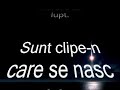 Plecat