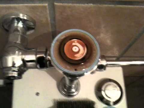 Commercial Flushometer Toilet Repair