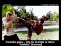 Capoeira-Fighting-te