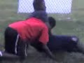 Manny vs. Mike