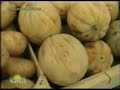 Mazara del Vallo, Stranuamuri Sicilianu - Frutta e Verdura Mazara del Vallo, Stranuamuri Sicilianu - Frutta e Verdura