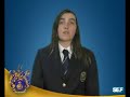 Artigos 88.�/2 e 89.�/2