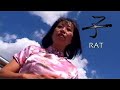 Chinese Astrology,Feng Shui & Food Tips for Throwing a Party Chinese Astrology,Feng Shui & Food Tips for Throwing a Party