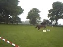 Me and Tino - Sidesaddle again Me and Tino - Sidesaddle again