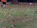 my coach told me to set up jugs of water and throw at them to better aim my throwing capabilities and i gta say its working