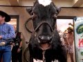 Party All Night (Video)