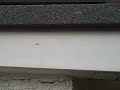 Neat and Tidy finishing on Flat Roof in Tilehurst, Flat Roof Specialist Park Lane Roofing