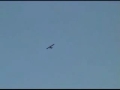 piper cub