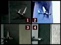 9/11 CONSPIRACY: PODS, MISSILES, MYSTERIOUS FLASHES 9/11 CONSPIRACY: PODS, MISSILES, MYSTERIOUS FLASHES