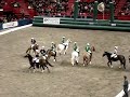 Horse Ball