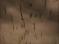 Final Fantasy 13, Versus 13 and Lost Odyssey…