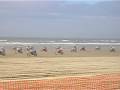 RESULTADOS ENDUROPALE 2009