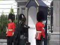 Rideau Hall Guard Changing