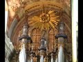 prezentacja organ�w ?wi?tolipskich3
