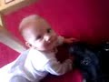pitbull playing with child 