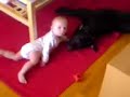 pitbull playing with child 