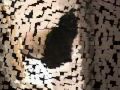 Trois chats sur la toilette