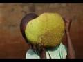 videos de Uganda