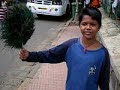 Lingo Kid Returns (In English) Lingo Kid Returns (In English)