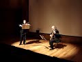 Playera y Zapateado - Sarasate (fragmentos)