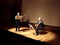 Playera y Zapateado - Sarasate (fragmentos)
