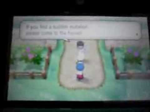 how to grow berries in pokemon x