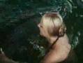 The Dolphin Song - Fortification 55