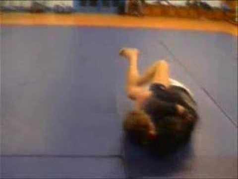 Iain Martin v. Pete Hodgson - DUMMA ...