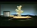 Tu Tu piccolo iddio/Madame Butterfly
