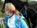 Spelen met Paarden Spelen met Paarden