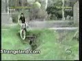 Funny Accidents