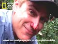boa bite boa bite